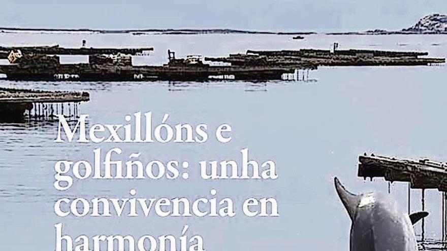 La portada del boletín informativo de Mexillón de Galicia. // FdV