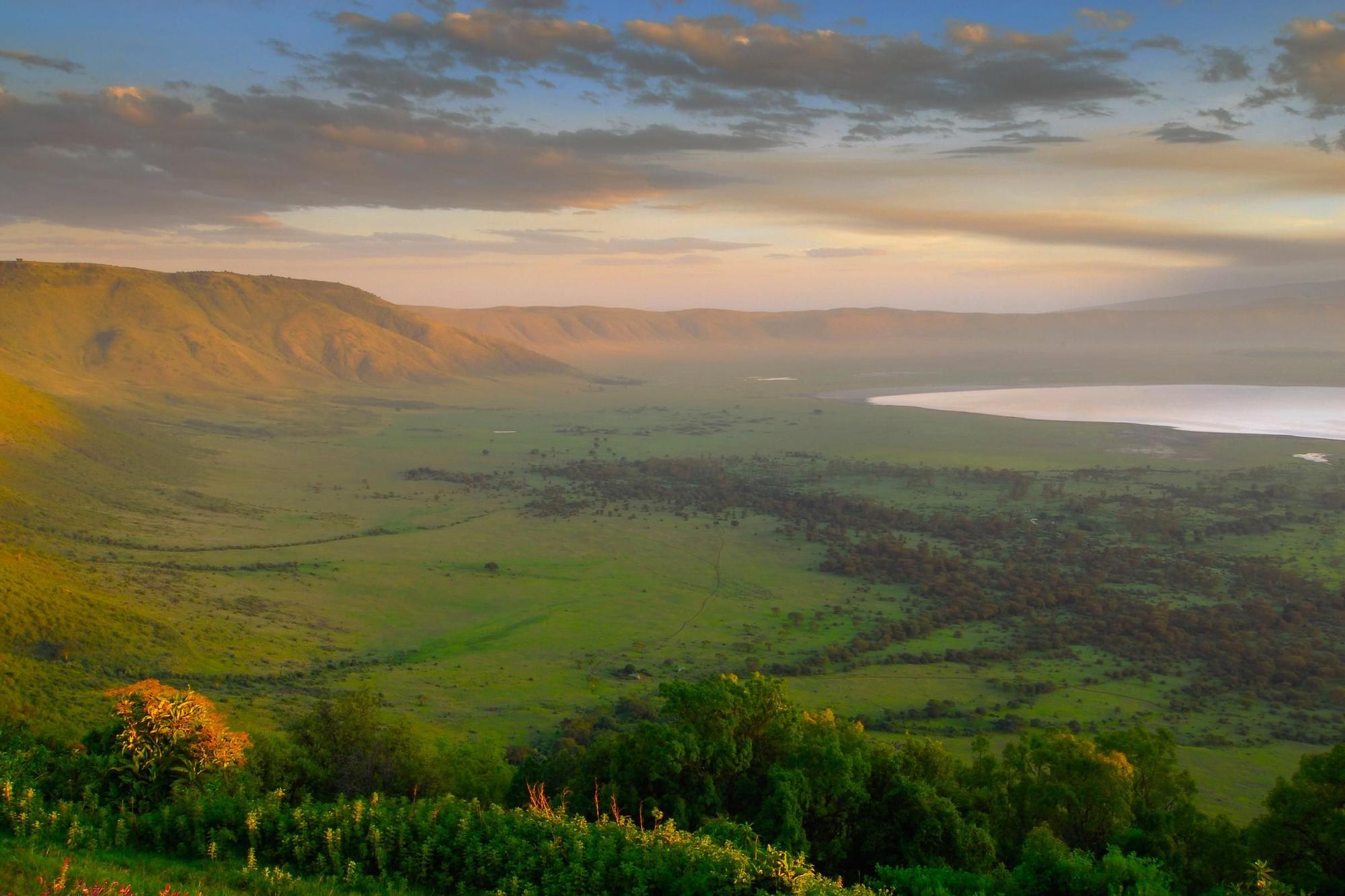 El Cráter de Ngorongoro de una impresionante llanura llena de vida