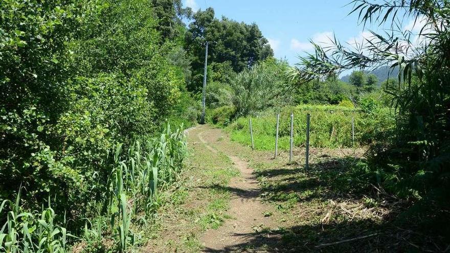 El Concello acometió una limpieza de toda la ruta de los molinos en junio. // Gonzalo Núñez