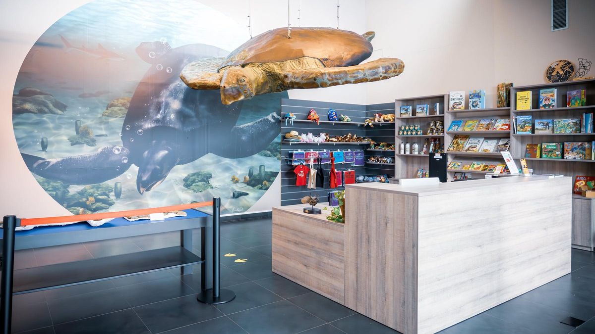 Aquesta tortuga és un dels exemplars que es poden veure a la Dinosfera