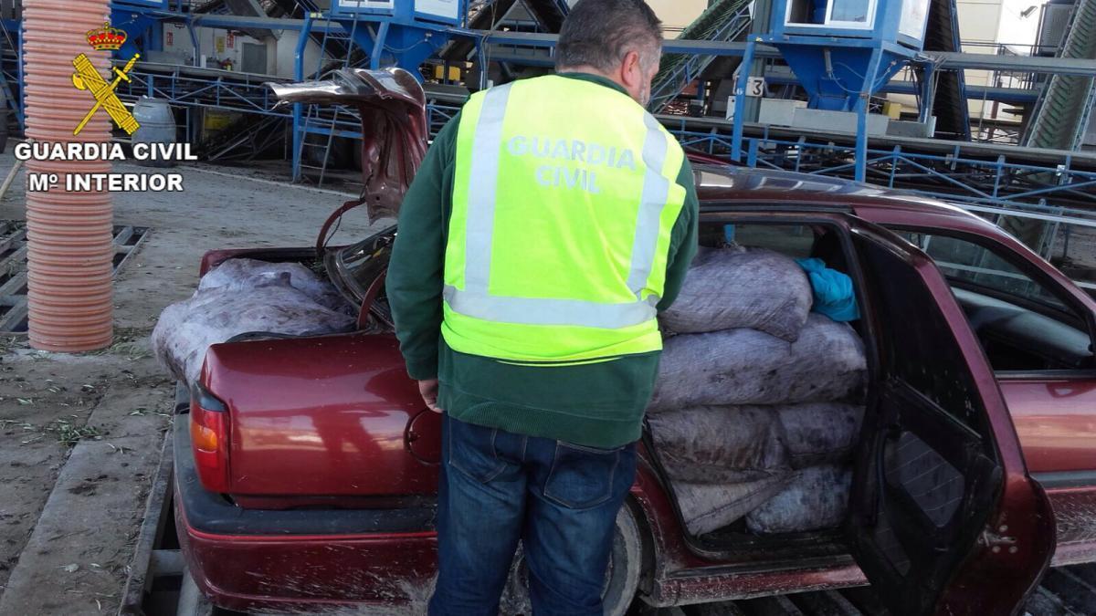 La Guardia Civil investiga a cuatro personas por un delito de hurto de cuatro toneladas de aceitunas