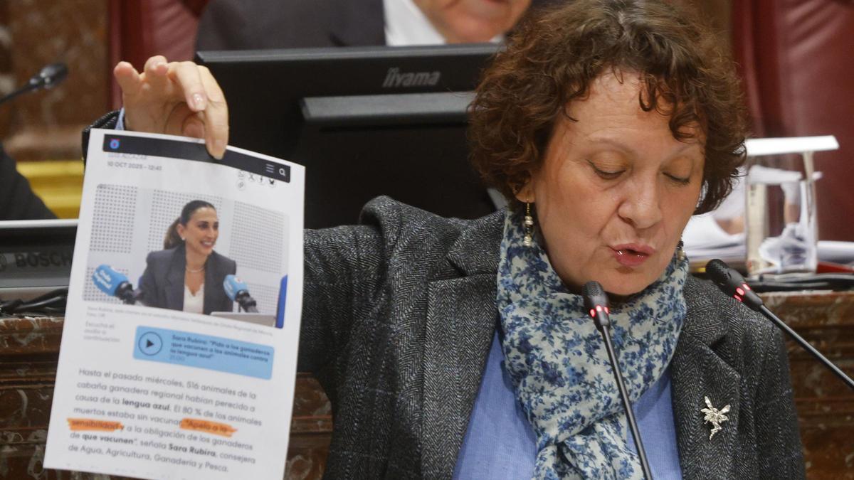 La diputada de Podemos en la Asamblea Regional, carga contra el Ejecutivo regional por su gestión ante la lengua azul.