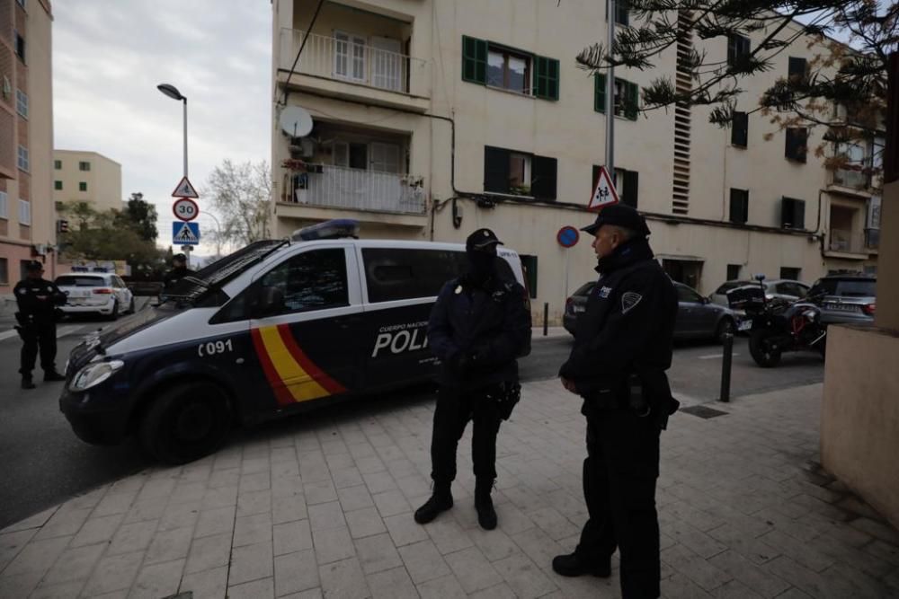 Redada antidroga en Verge de Lluc en Palma