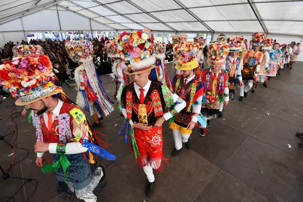 Numerosos vecinos disfrutaron del martes de Carnaval