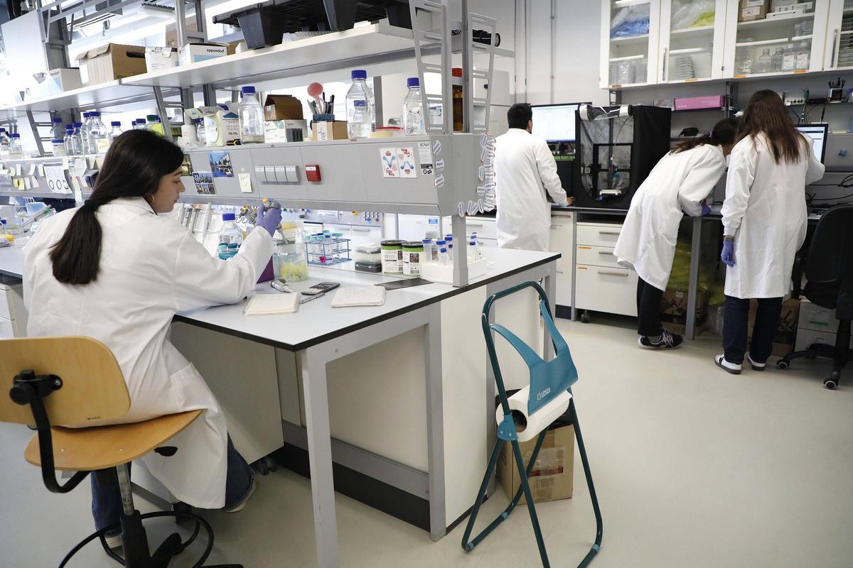 Investigadores en el Ciqus de Santiago, centro que cuenta con el proyecto innovador SWIMMOT