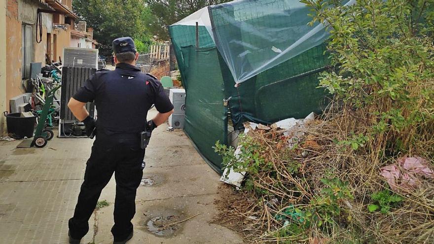 Última operación de la Policía Nacional para desmantelar plantaciones de marihuana en la capital.