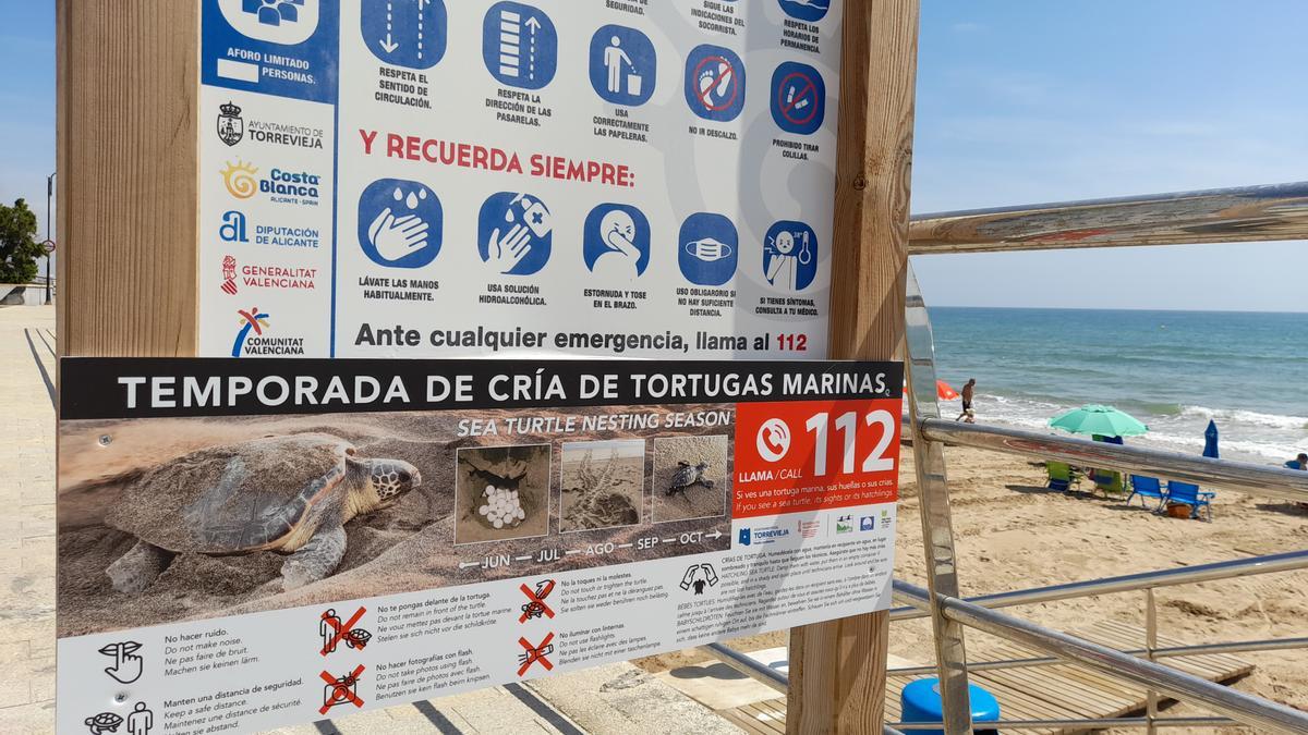 Imagen de los carteles informativos sobre el protocolo a seguir en caso de intento de nidificación de tortugas marinas