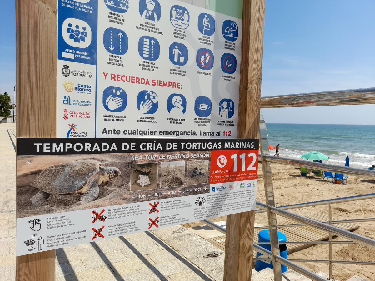Imagen de los carteles informativos sobre el protocolo a seguir en caso de intento de nidificación de tortugas marinas