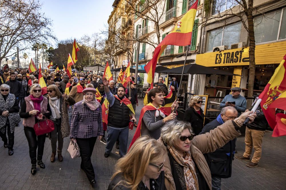 Unas 700 personas se concentran en Palma "por la unidad de España"