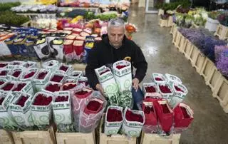 Les roses seran un 2% més cares aquest Sant Jordi