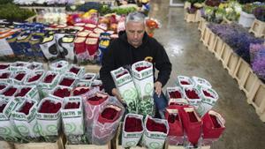 Les roses seran un 2% més cares aquest Sant Jordi