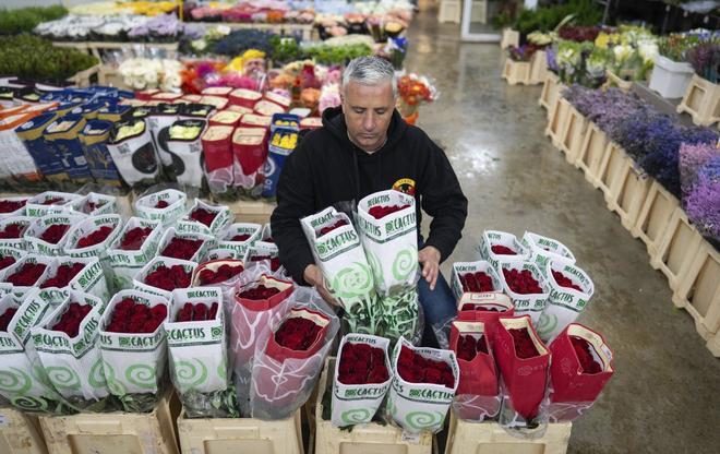 Les roses seran un 2% més cares aquest Sant Jordi