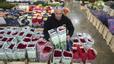 Les roses seran un 2% més cares aquest Sant Jordi