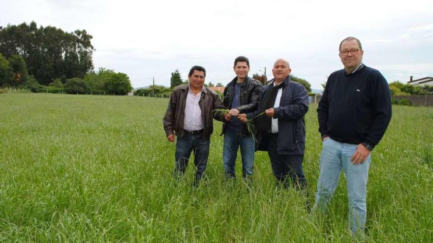 Primer acuerdo de cesión de unos terrenos en Bergondo a través de la Bolsa de Terras, en 2014.