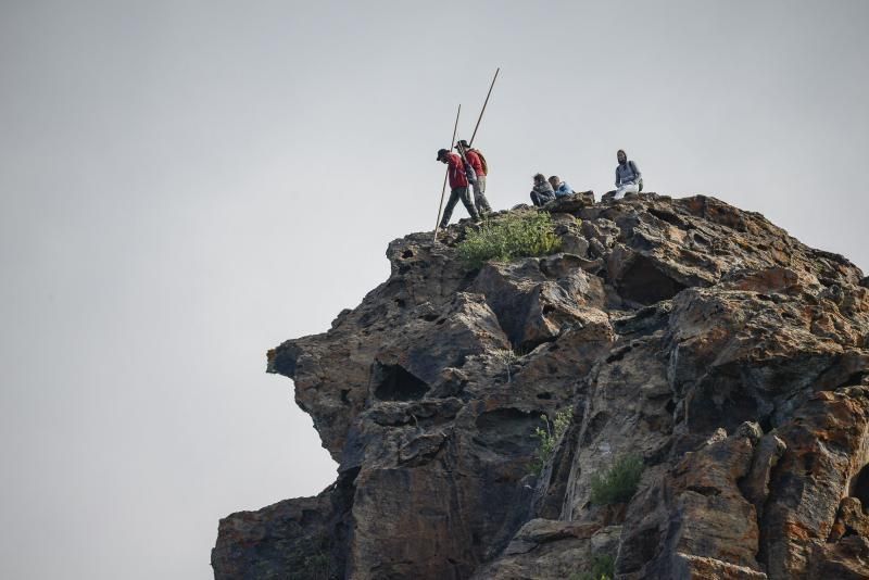 26/05/2018 TASARTICO, ALDEA DE SAN NICOLAS.  Apañada de cabras en la zona de Güi Güi, organizada por el Cabildo de Gran Canaria y  con la colaboración de distintos colectivos. FOTO: J. PÉREZ CURBELO  | 26/05/2018 | Fotógrafo: José Pérez Curbelo