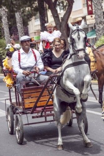 El desfile ecuestre toma el Real de Torrevieja