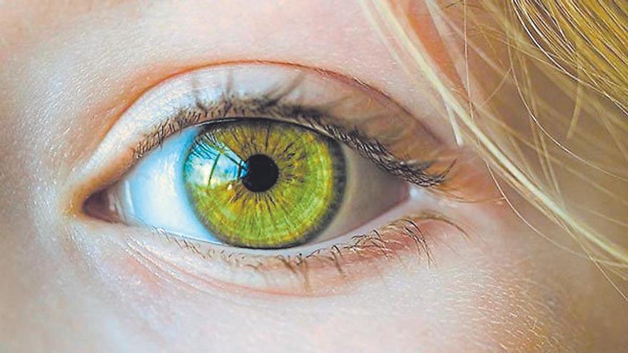 IrisMap: espacios interiores comprensibles y accesibles a todo el mundo