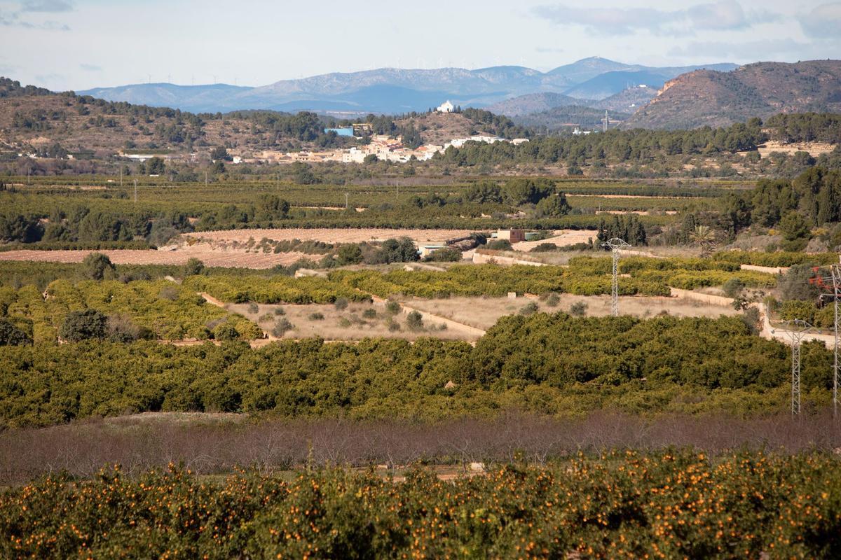 Más terrenos afectados por la macroplanta fotovoltaica de Sagunt.