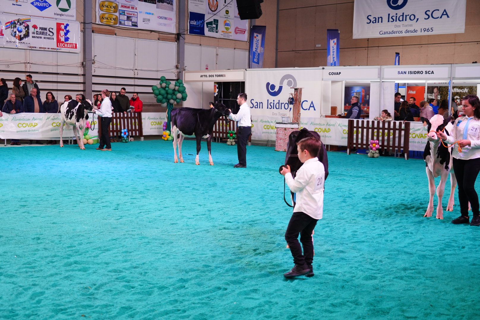 El Concurso Morfológico 'Usías Holstein' de Dos Torres, en imágenes