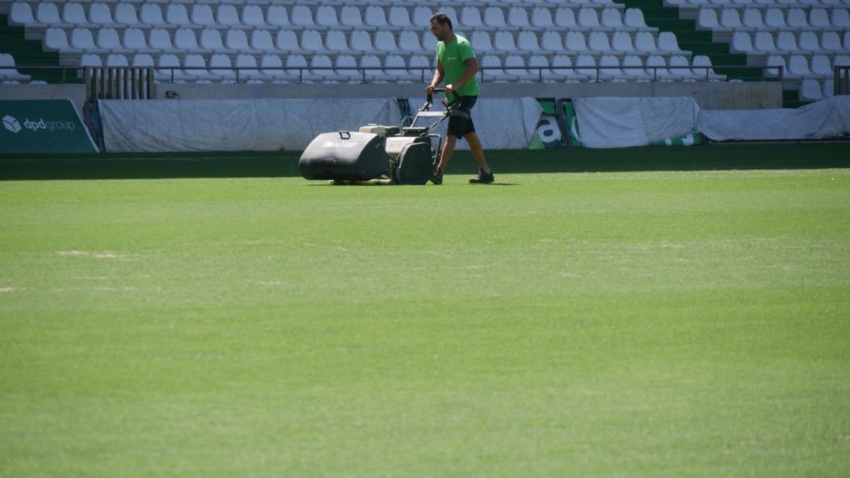 El césped de El Arcángel, listo en dos semanas