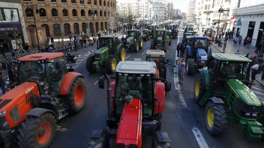 Una revuelta que se cultiva en el campo