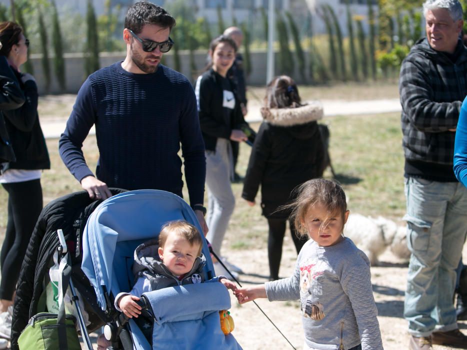 Can We Run: Gran carrera de perros para la concienciación animal