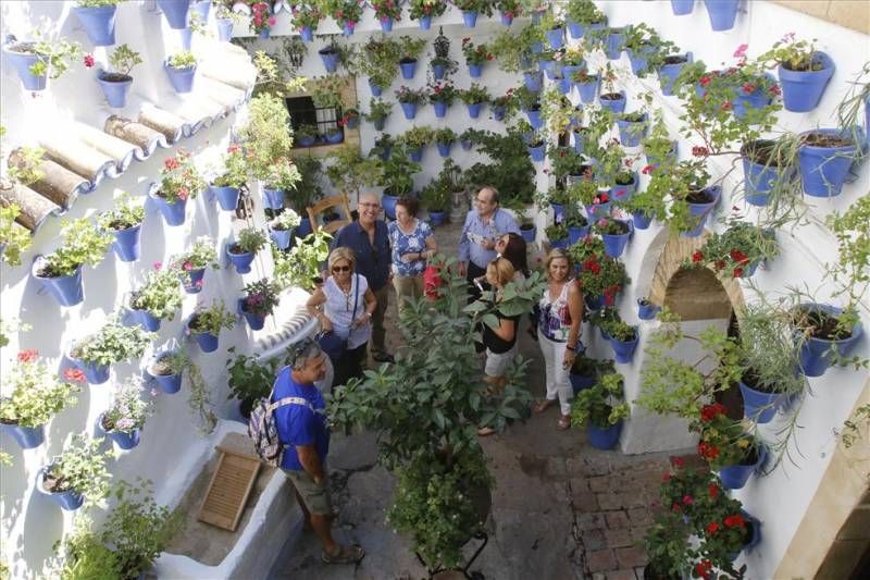 GALERÍA DE FOTOS / Los patios del Alcázar Viejo reabren sus puertas