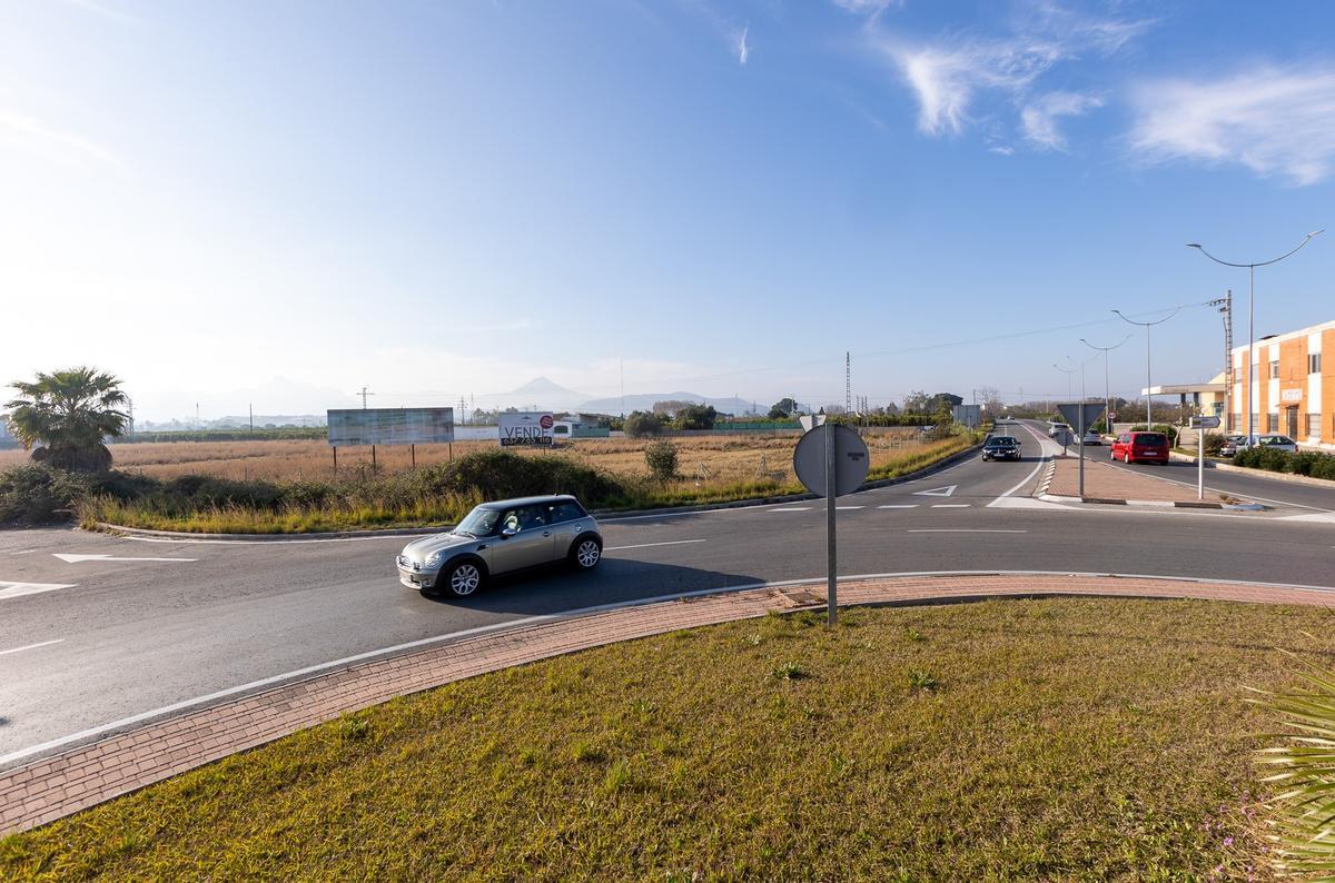 Terrenos en los que se levantará el centro logístico frente a la cooperativa de Gandia junto a la CV-670.