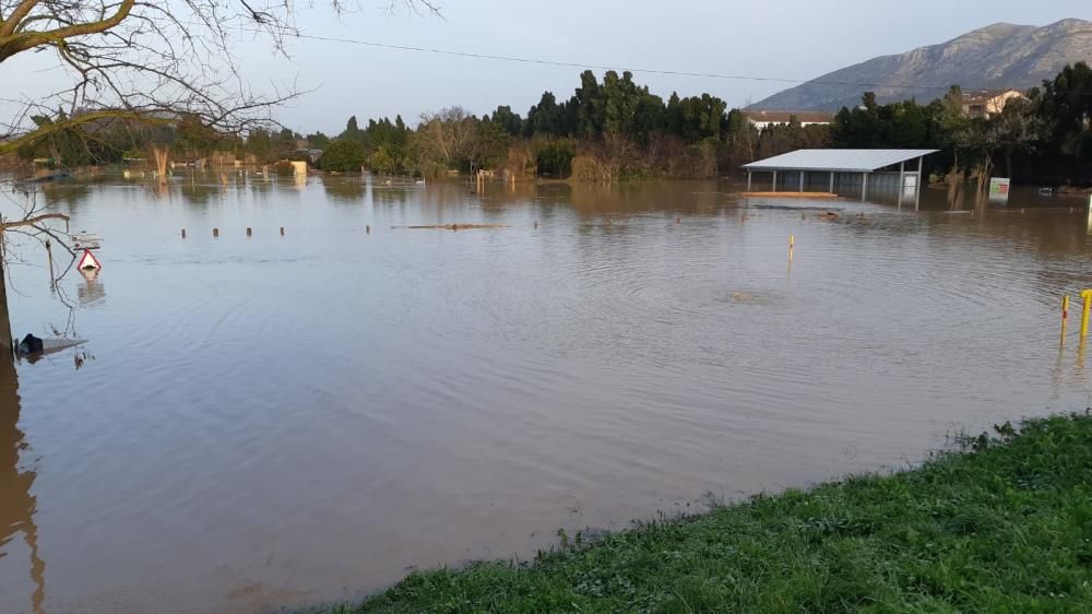 El creixement del Ter ha causat inundacions a Torroella