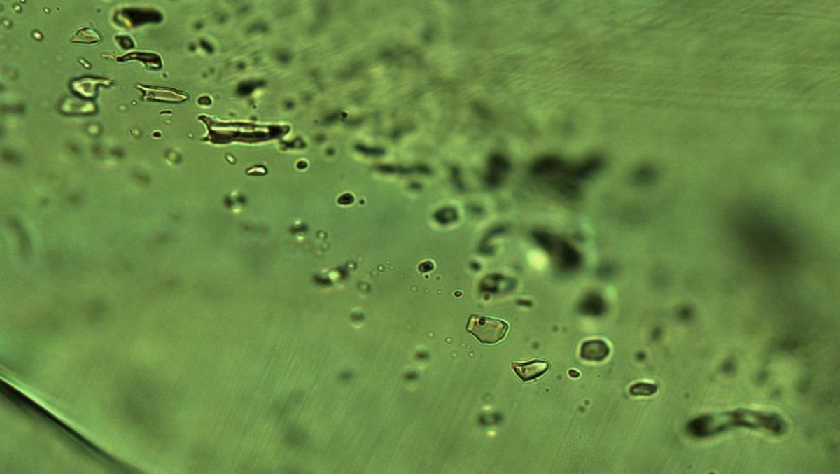 Pequeñas inclusiones de gas y fluido en minerales de ágata capturan la atmósfera antigua.