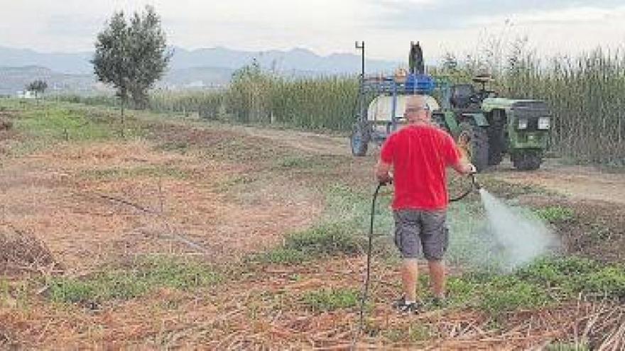 La Llosa mejorará las zonas naturales del municipio