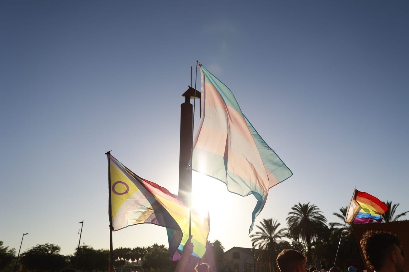 Así ha sido la manifestación del Orgull Crític en València