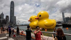 Los patos de goma del artista Florentijn Hofman, en el puerto de Hong Kong