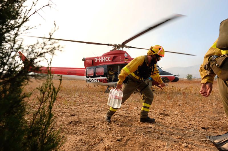 Declarado un incendio en una zona de barranco de Beneixama