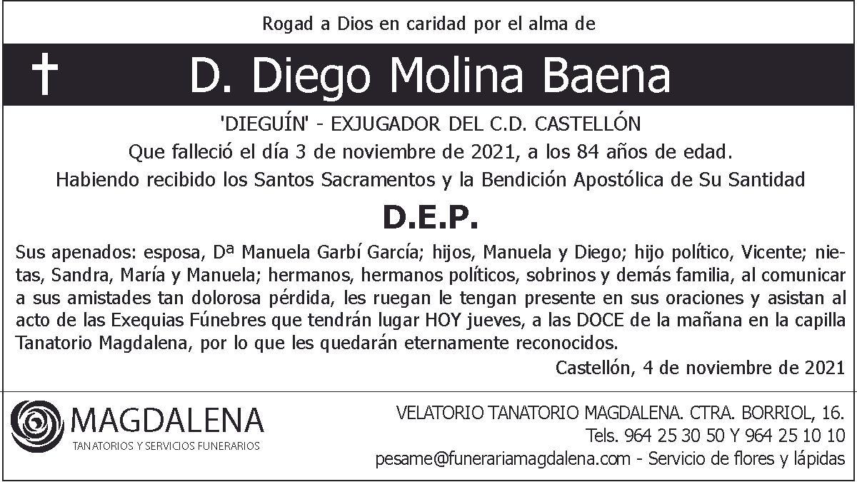 D. Diego Molina Baena