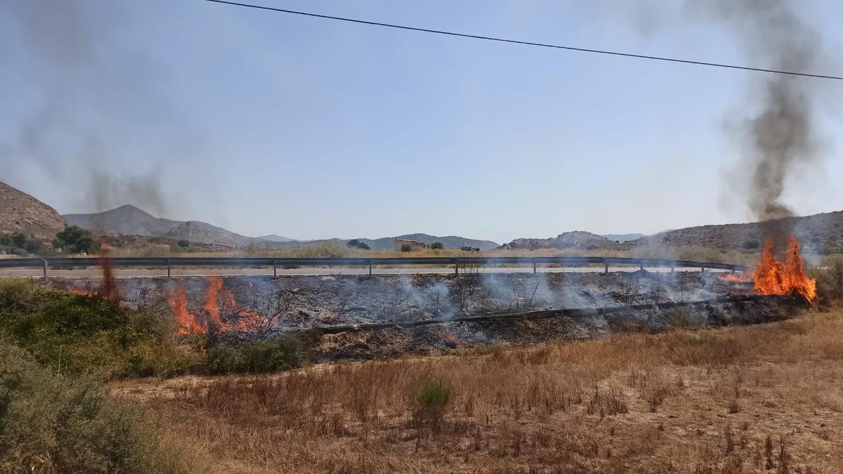 El fuego se ha extendido por el arcén de la carretera.