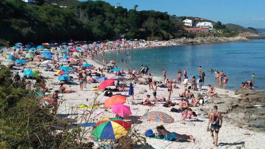 Un aspecto de la playa de Ons esta semana. // Anduxía