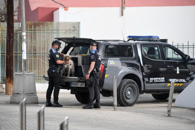 Control policial de los GOIA caninos en San Bartolomé