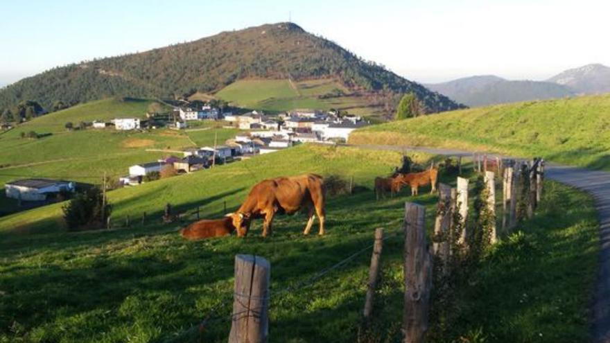 Villayón apoya lo rural