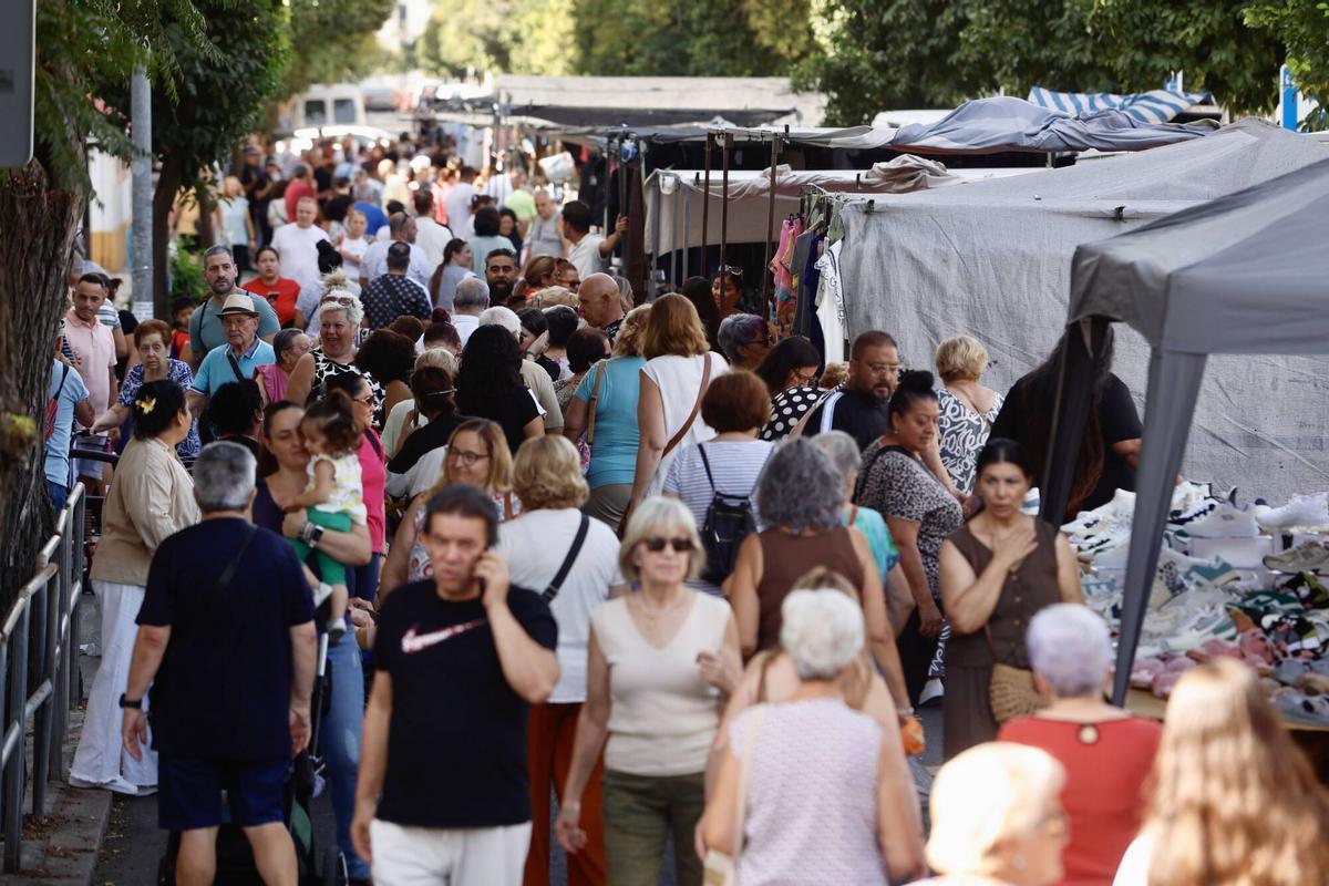 Gran expectación en un renovado mercadillo de Sector Sur