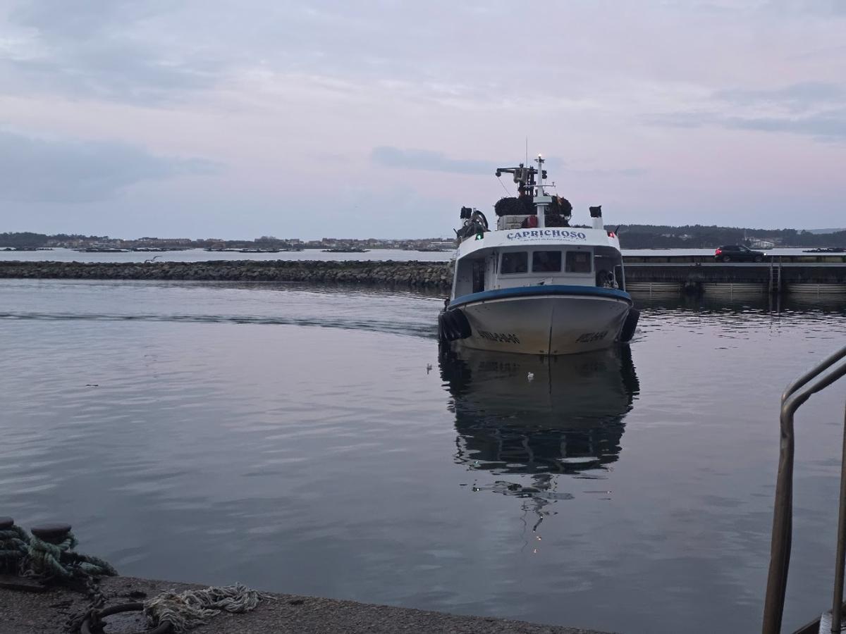 Descargas de mejillón en el muelle de Vilanova de Arousa, esta mañana.