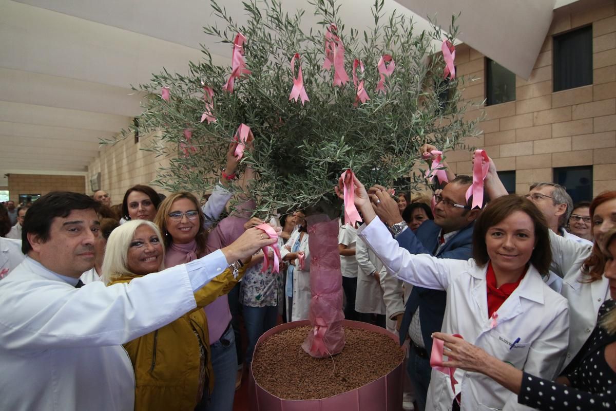 El Reina Sofía conmemora la lucha contra el cáncer de mama
