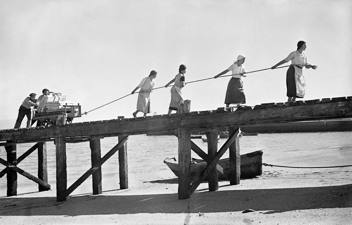 Mulleres e mariñeiros levando a descarga do  peixe no antigo peirao de Massó, en Bueu