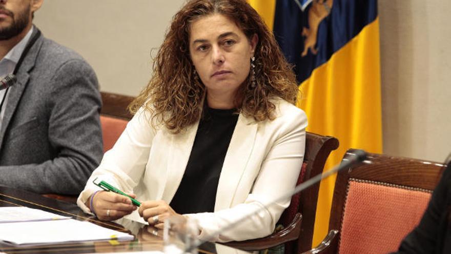 La viceconsejera de Derechos Sociales en el Gobierno de Canarias, Gemma Martínez.