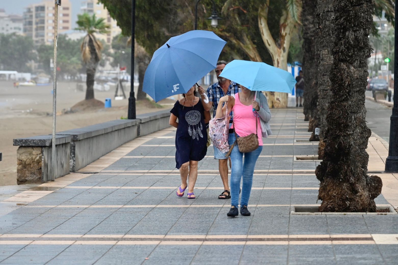 Galería: La DANA deja las primeras precipitaciones importantes en Castellón