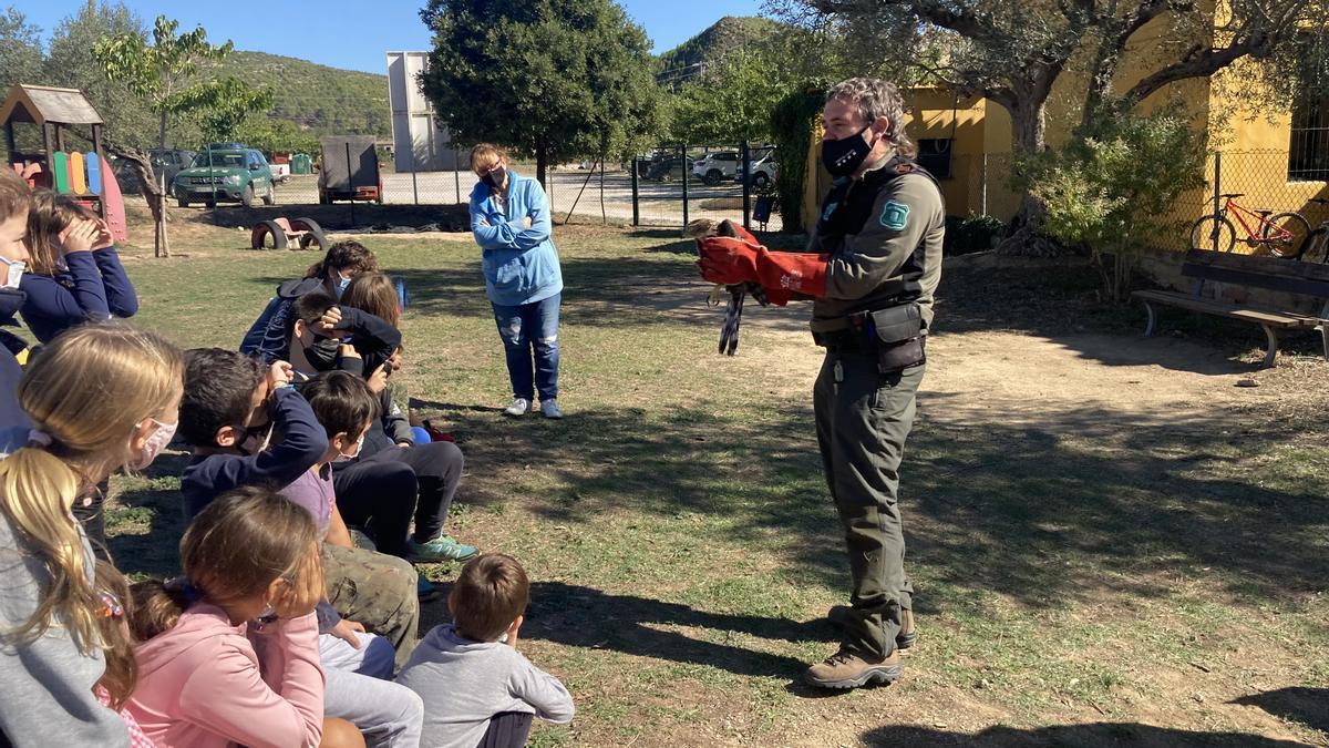 Les escoles de Cistella, de Boadella i Les Escaules alliberen dos astors del Centre de Fauna dels Aiguamolls