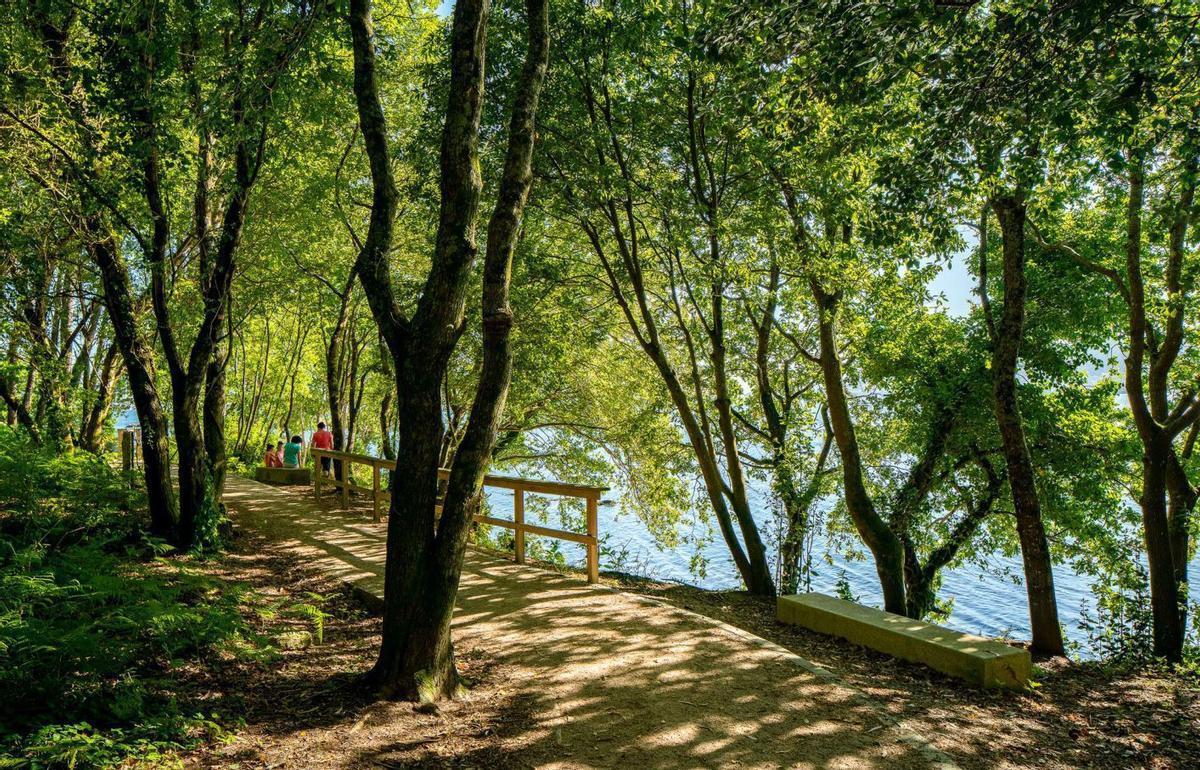 Senda de O Laño. | FDV