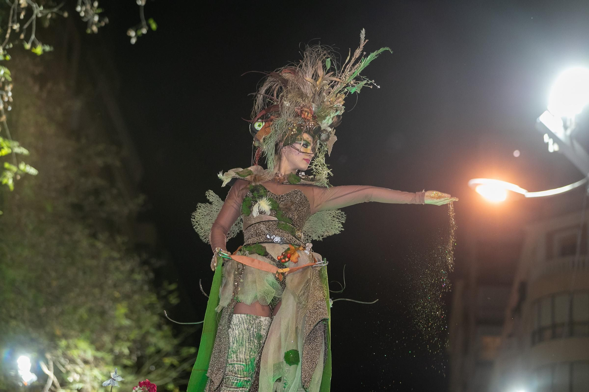 Las mejores imágenes del desfile y la lectura del Testamento de la Sardina