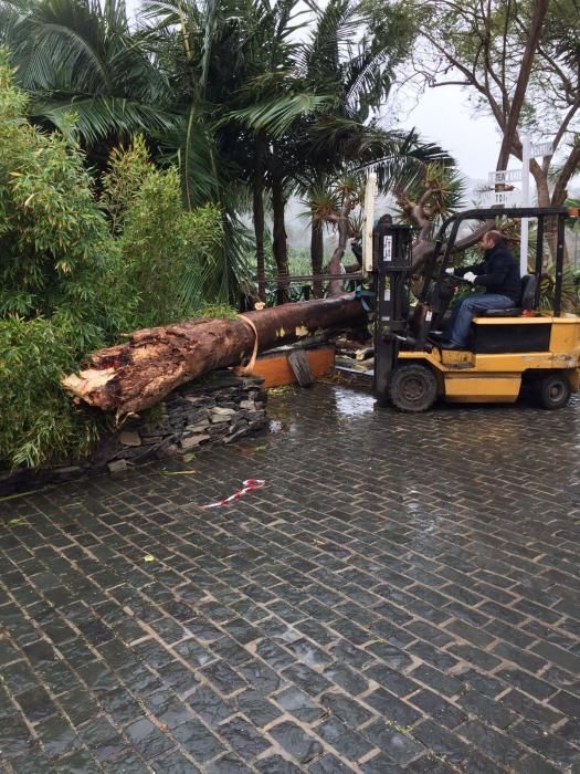 Temporal en Gran Canaria (12/2/2017)