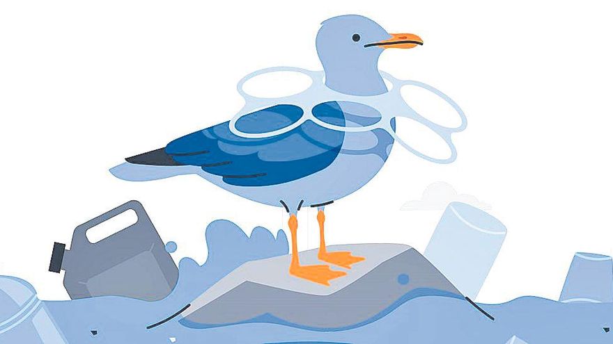Día del Medioambiente: los plásticos